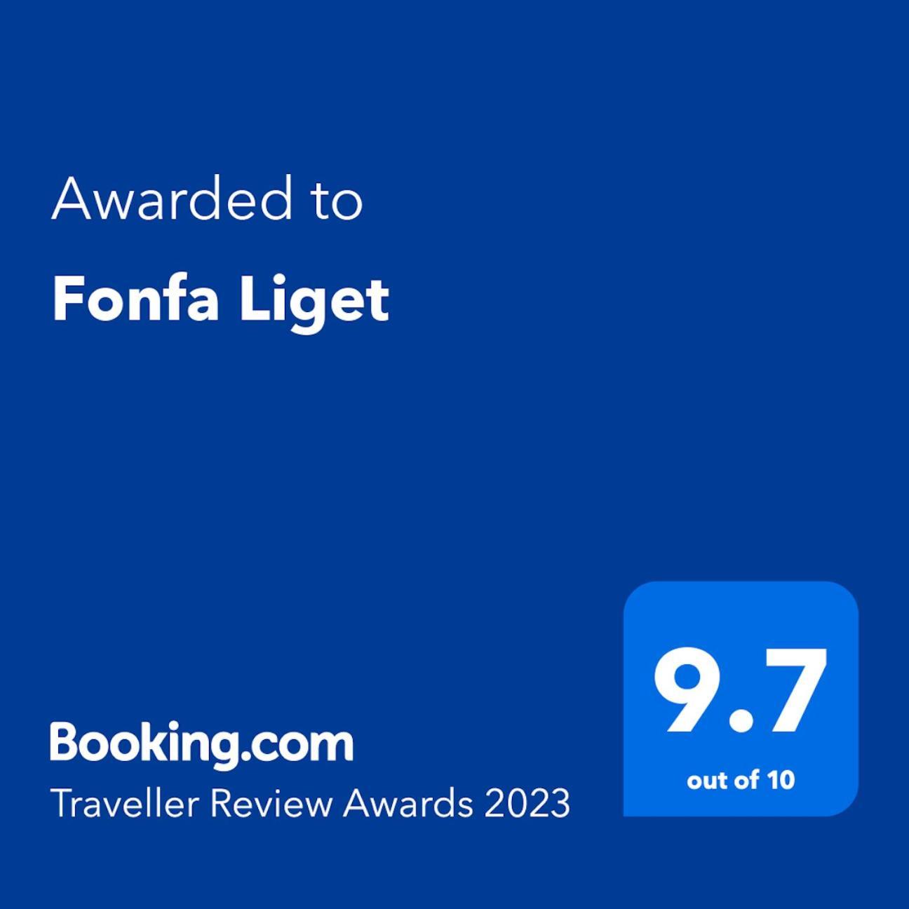Fonfa Liget Hotel Senye Luaran gambar