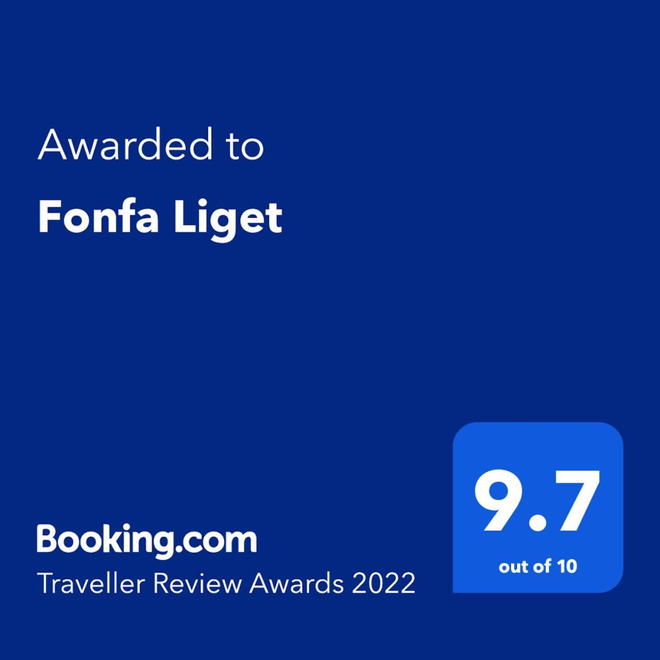 Fonfa Liget Hotel Senye Luaran gambar