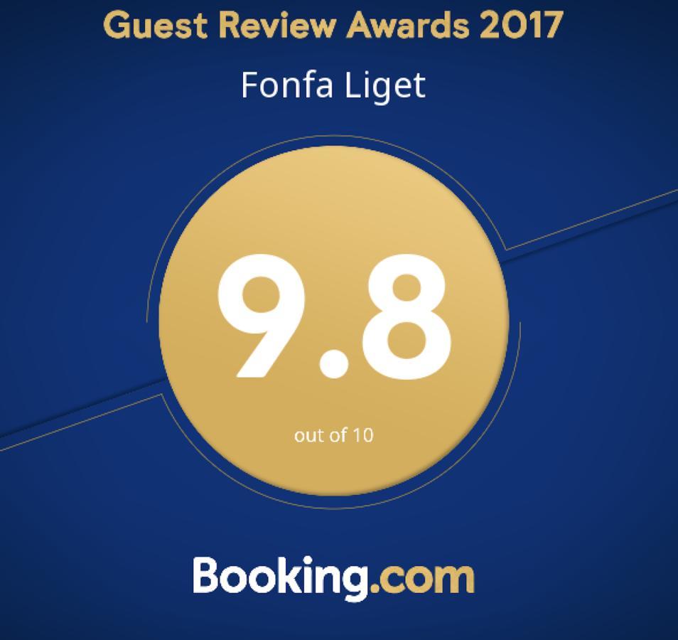 Fonfa Liget Hotel Senye Luaran gambar
